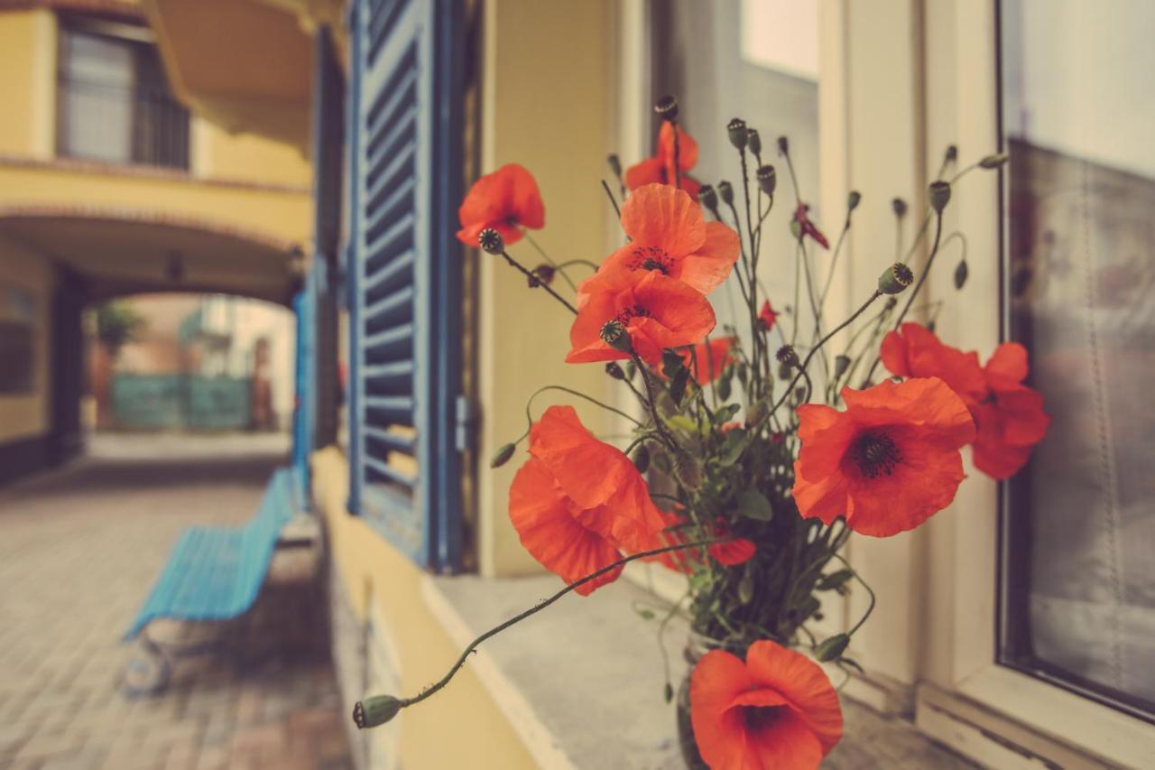 Agriturismo I Suri Asti Exteriér fotografie